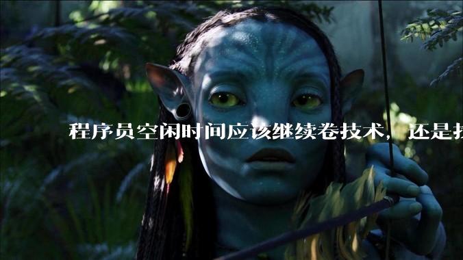程序员空闲时间应该继续卷技术，还是找其他副业？